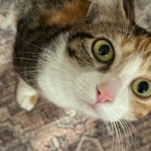 Meet your Posher, Jessy